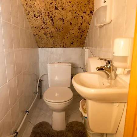 Vienaragio Apartamentai Butas