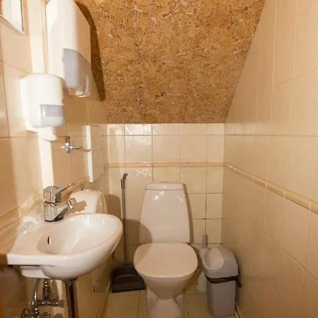 Vienaragio Apartamentai Butas