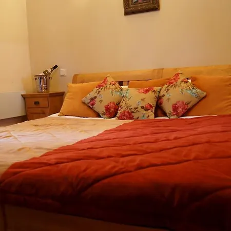 Vienaragio Apartamentai Butas