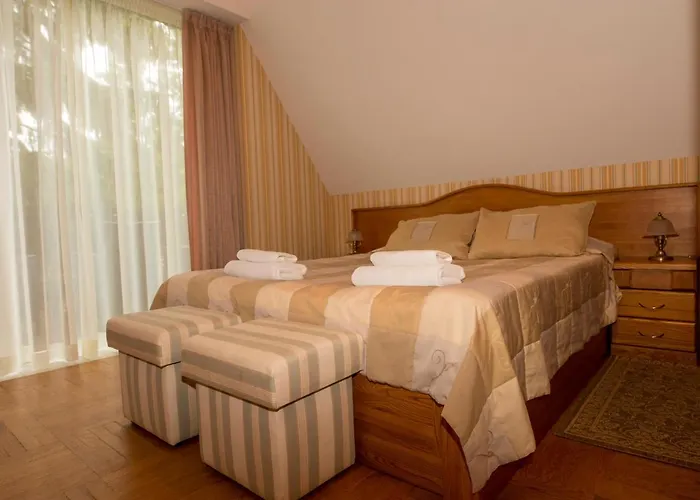 Vienaragio Apartamentai *